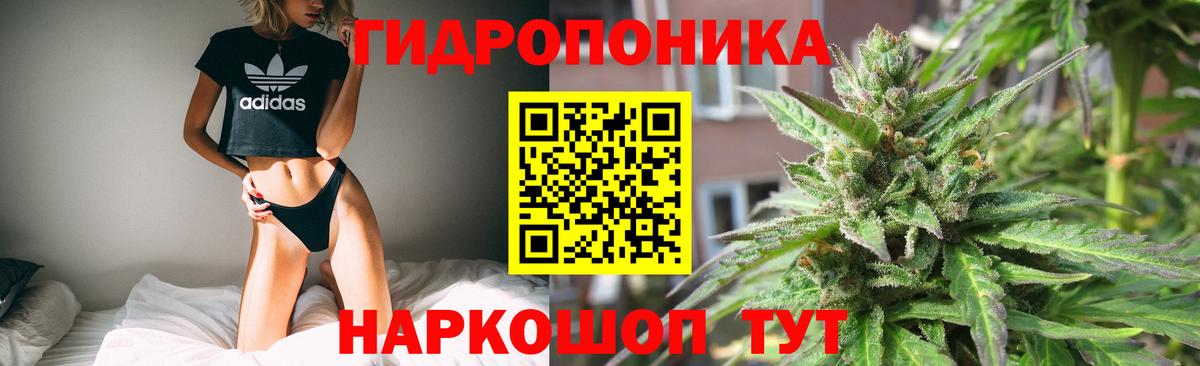 Лесозаводск  МАРИХУАНА сатива  Вход с VPN  МАРИХУАНА OG Kush  Бошки Шишки гибрид 